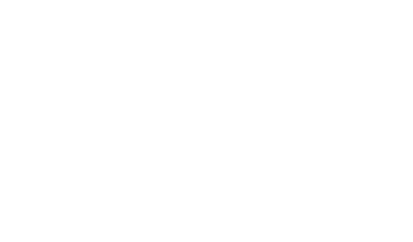 Cover My Wheel